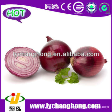 2014 Fresh Red Onion